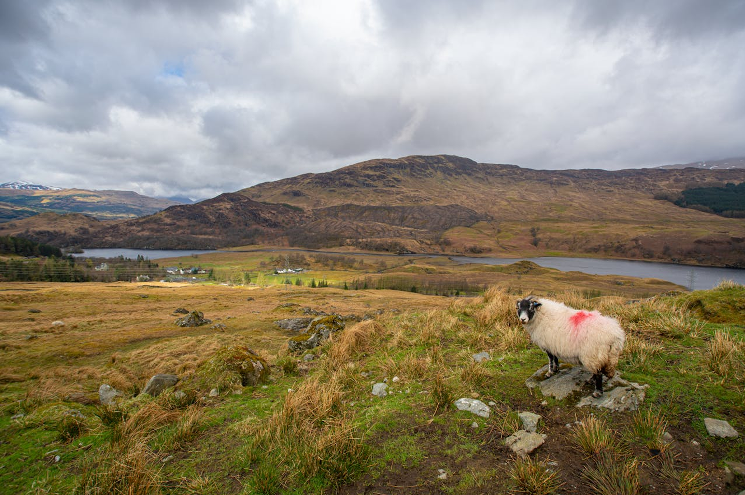 Scotland